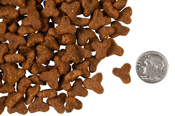 Fromm Four Star Grain Free Gamebird Cat Food