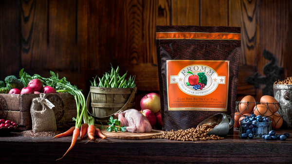 Fromm Four Star Grain Free Gamebird Cat Food