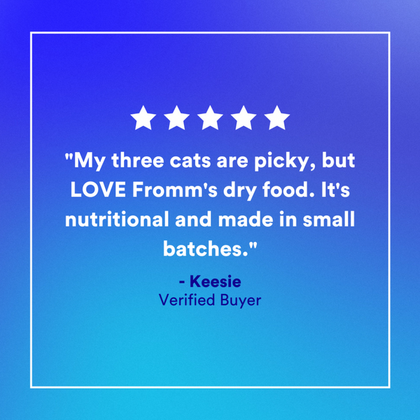 Fromm Four Star Grain Free Gamebird Cat Food