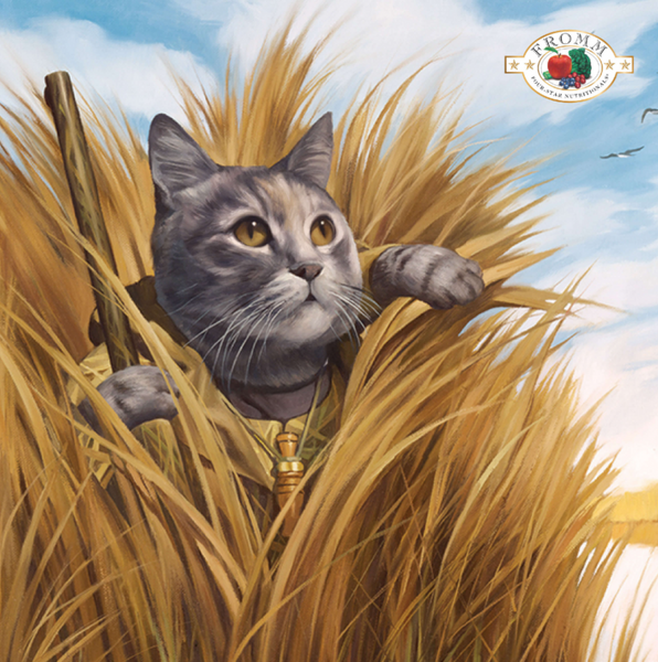 Fromm Four Star Grain Free Gamebird Cat Food
