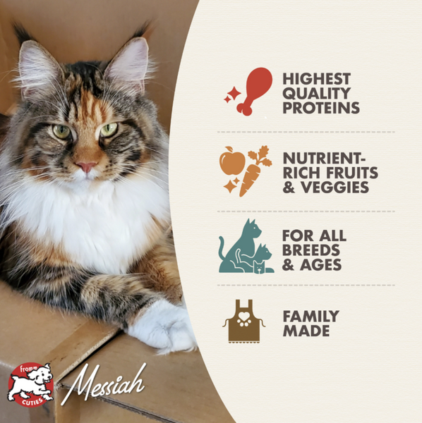 Fromm Four Star Grain Free Gamebird Cat Food