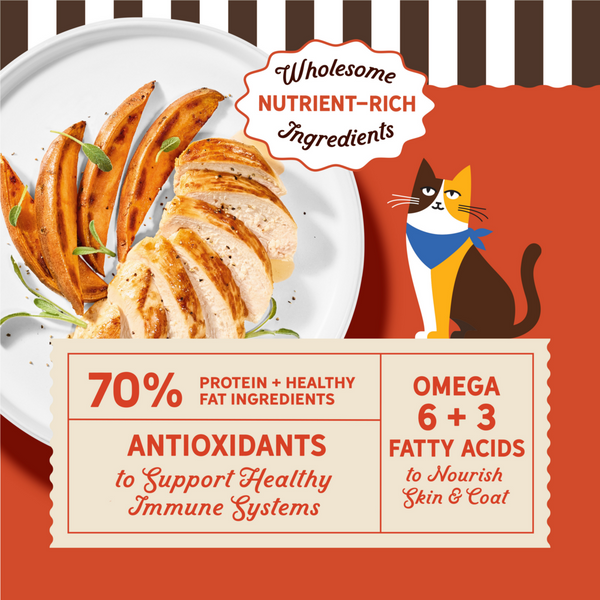 Merrick Purrfect Bistro Grain Free Real Chicken & Sweet Potato Recipe Dry Cat Food