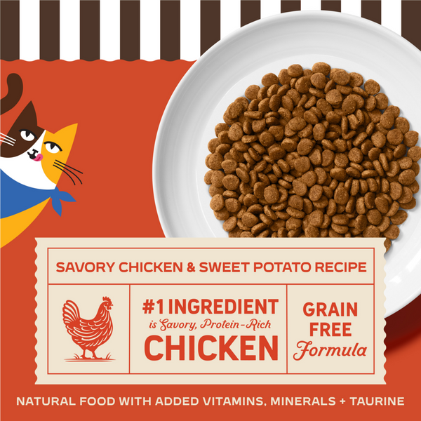 Merrick Purrfect Bistro Grain Free Real Chicken & Sweet Potato Recipe Dry Cat Food