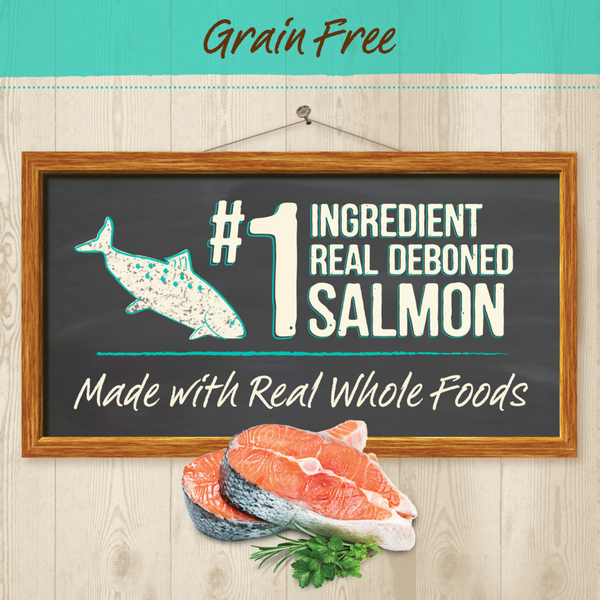 Merrick Purrfect Bistro Grain Free Real Salmon & Sweet Potato Recipe Dry Cat Food