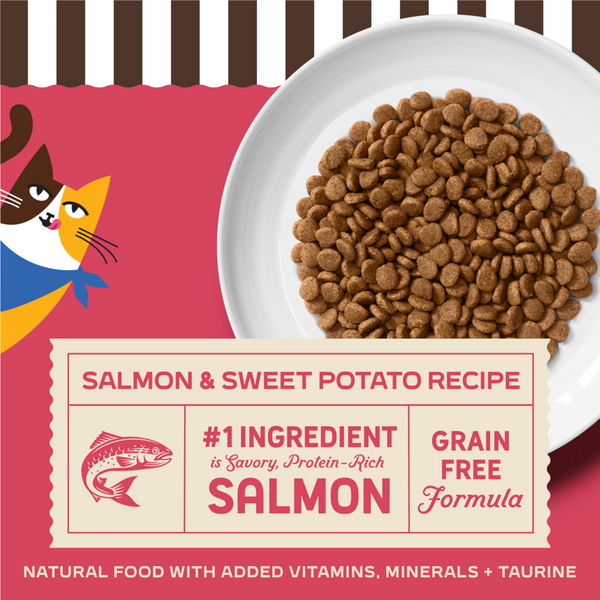 Merrick Purrfect Bistro Grain Free Real Salmon & Sweet Potato Recipe Dry Cat Food