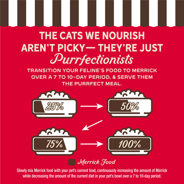 Merrick Purrfect Bistro Grain Free Premium Soft Canned Pate Adult Wet Cat Food, High Protein Beef Recipe