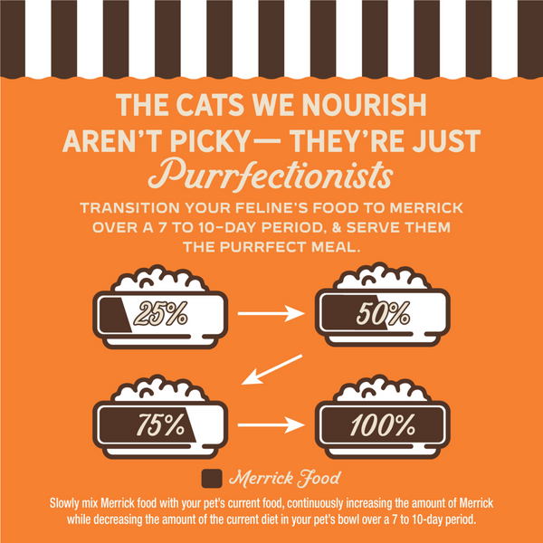 Merrick Purrfect Bistro Grain Free Premium Soft Canned Pate Adult Wet Cat Food, High Protein Chicken Recipe