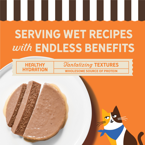 Merrick Purrfect Bistro Grain Free Chicken Pate Adult Wet Cat Food