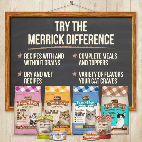 Merrick Purrfect Bistro Grain Free Premium Soft Canned Pate Adult Wet Cat Food, High Protein Turkey Recipe