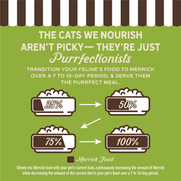 Merrick Purrfect Bistro Grain Free Turkey Pate Adult Wet Cat Food