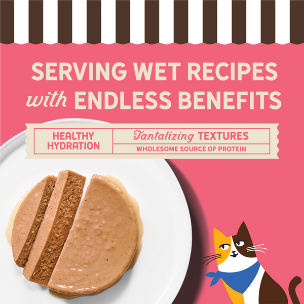 Merrick Purrfect Bistro Grain Free Salmon Pate Adult Wet Cat Food