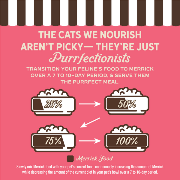Merrick Purrfect Bistro Grain Free Salmon Pate Adult Wet Cat Food