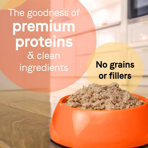 Canidae Grain Free PURE Sky Canned Dog Food