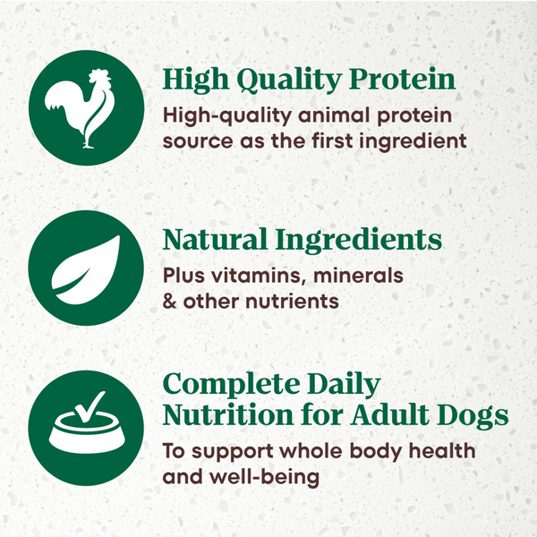 Nutro Ultra Grain-Free Chicken Entree Pate with Tomatoes and Carrots Adult Wet Dog Food Trays