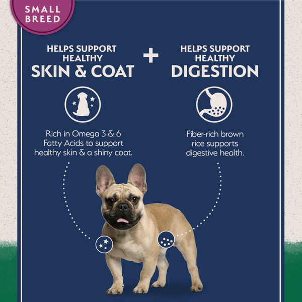 Natural Balance Limited Ingredient Dry Dog Food, Lamb & Brown Rice Small Breed Bites Recipe