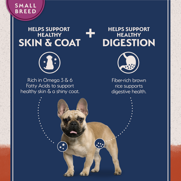 Natural Balance Limited Ingredient Grain Free Dry Dog Food for Small Breeds, Salmon & Sweet Potato