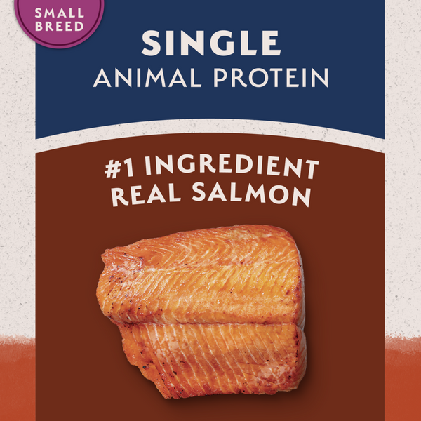 Natural Balance Limited Ingredient Grain Free Dry Dog Food for Small Breeds, Salmon & Sweet Potato