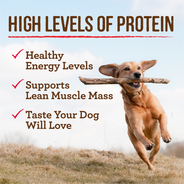 Merrick Chunky Grain Free Premium And Wholesome Canned Dog Food, Real Meat Colossal Chicken Dinner In Gravy