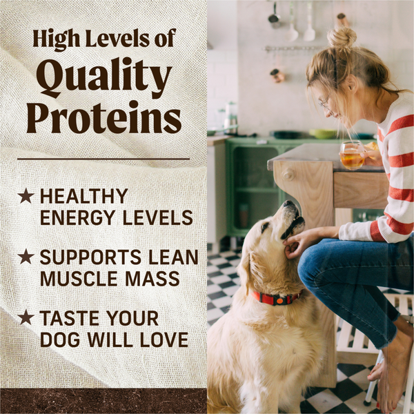 Merrick Grain Fre Healthy Weight Adult Dry Dog Food