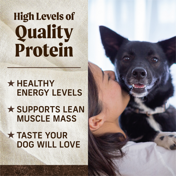 Merrick Grain Free Lamb and Sweet Potato Adult Dry Dog Food