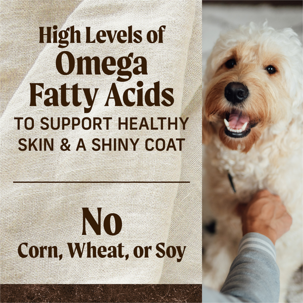 Merrick Grain Free Lamb and Sweet Potato Adult Dry Dog Food