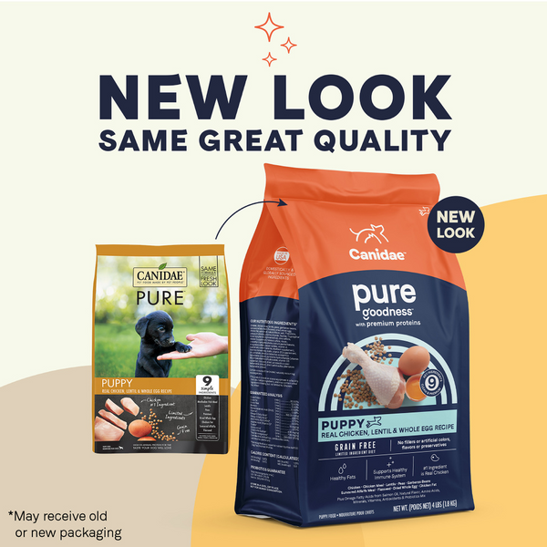 Canidae Pure Goodness PUPPY Real Chicken, Lentil & Whole Egg Recipe Dry Dog