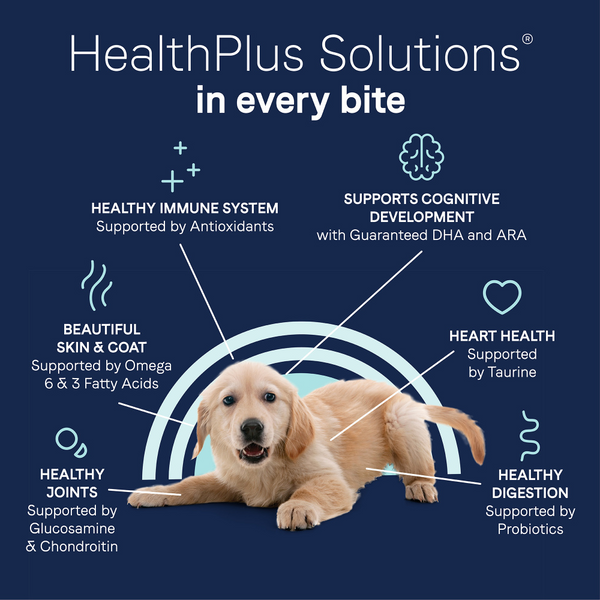 Canidae Pure Goodness PUPPY Real Chicken, Lentil & Whole Egg Recipe Dry Dog