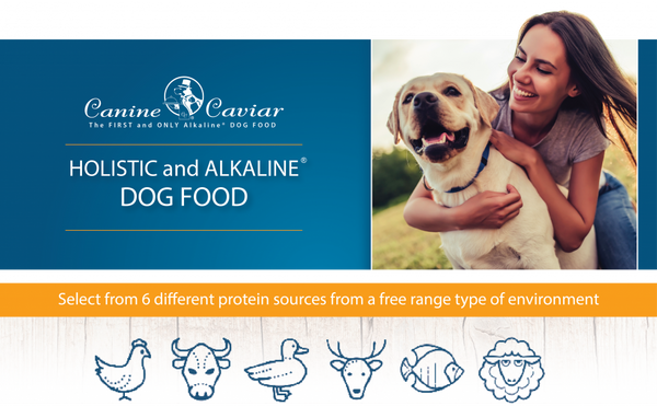 Canine Caviar Special Needs Alkaline Holistic Entree Dry Dog Food