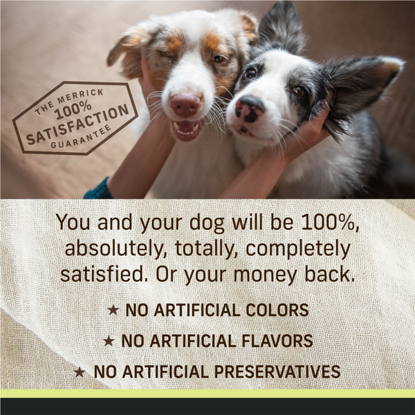 Merrick Limited Ingredient Diet Real Lamb Recipe Canned Dog Food