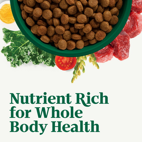 Nutro Wholesome Essentials Healthy Weight Large Breed Adult Farm-Raised Chicken, Rice & Sweet Potato Dry Dog Food