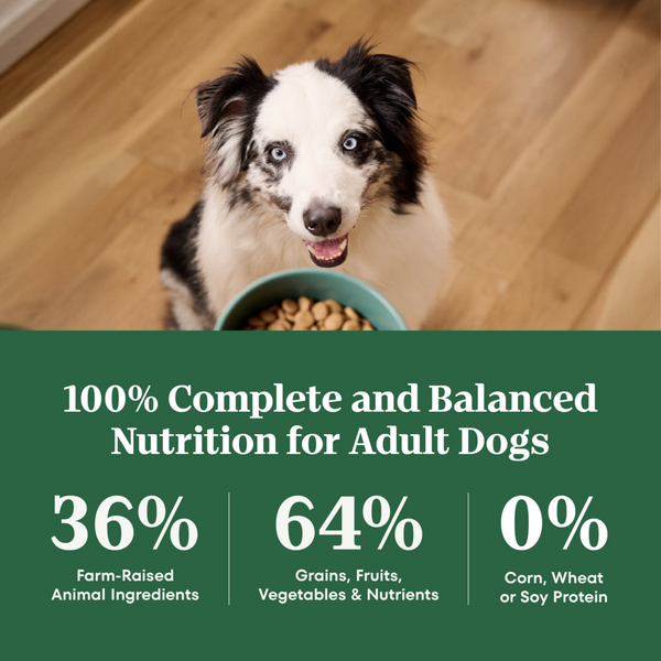 Nutro Wholesome Essentials Healthy Weight Large Breed Adult Farm-Raised Chicken, Rice & Sweet Potato Dry Dog Food