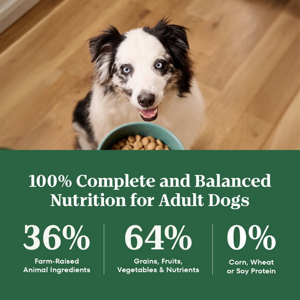 Nutro Wholesome Essentials Healthy Weight Adult Farm-Raised Chicken, Lentils & Sweet Potato Dry Dog Food