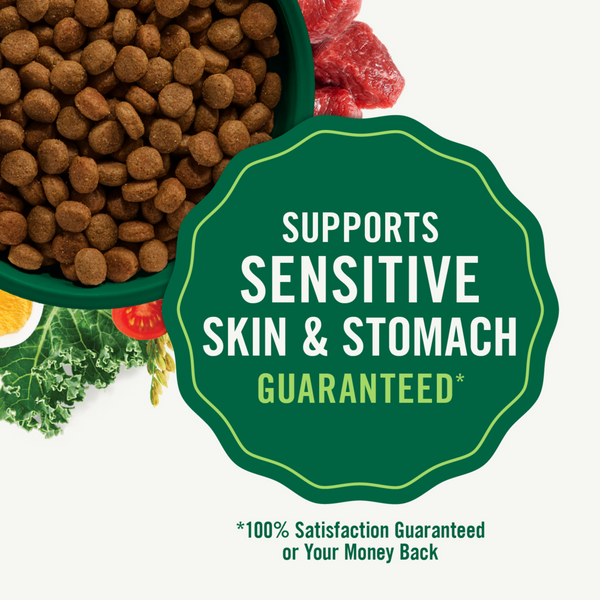Nutro Wholesome Essentials Large Breed Puppy Pasture-Fed Lamb & Rice Dry Dog Food