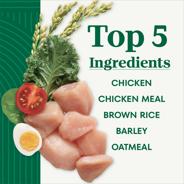 Nutro Wholesome Essentials Large Breed Senior Farm-Raised Chicken, Brown Rice & Sweet Potato Dry Dog Food