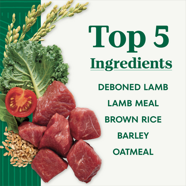 Nutro Wholesome Essentials Small Bites Adult Pasture-Fed Lamb & Rice Dry Dog Food