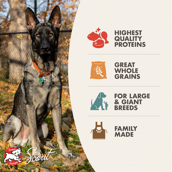 Fromm Heartland Gold Large Breed Adult Grain-Free Dry Dog Food