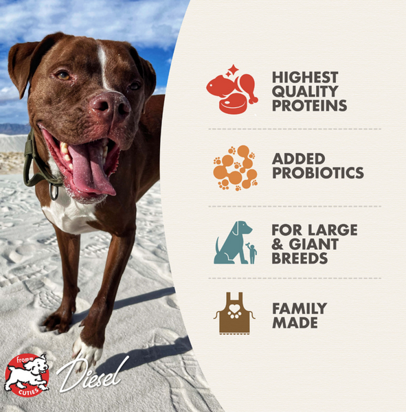 Fromm Heartland Gold Large Breed Adult Grain-Free Dry Dog Food