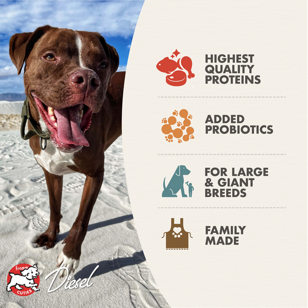 Fromm Heartland Gold Large Breed Puppy Grain-Free Dry Dog Food