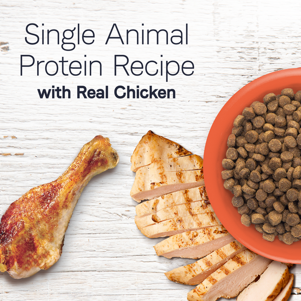 Canidae Under the Sun Grain Free Adult Chicken Recipe Dry Dog Food