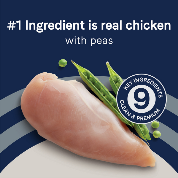 Canidae Pure Goodness HEALTHY WEIGHT Real Chicken & Pea Recipe Dry Dog Food