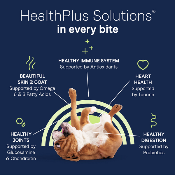 Canidae Pure Goodness HEALTHY WEIGHT Real Chicken & Pea Recipe Dry Dog Food