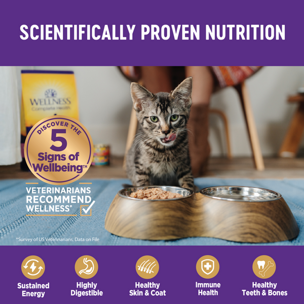 Wellness Healthy Indulgence Natural Grain Free Morsels with Chicken and Salmon in Savory Sauce Cat Food Pouch