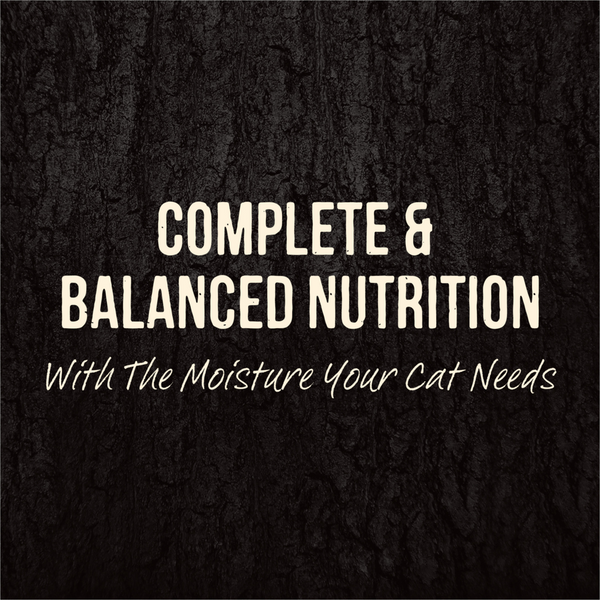 Merrick Backcountry Grain Free Gluten Free Premium High Protein Wet Cat Food, Duck Recipe Cuts With Gravy