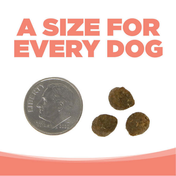 NutriSource Grain Free Small Bites Seafood Select Dry Dog Food