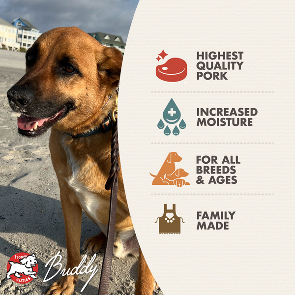 Fromm Four Star Shredded Pork in Gravy Entree Grain Free Canned Dog Food