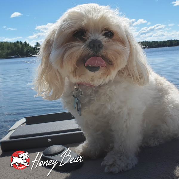 Fromm Four Star Shredded Pork Dog Food