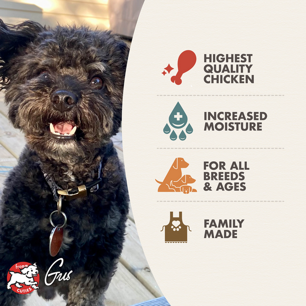 Fromm Four Star Shredded Chicken in Gravy Entree Canned Dog Food