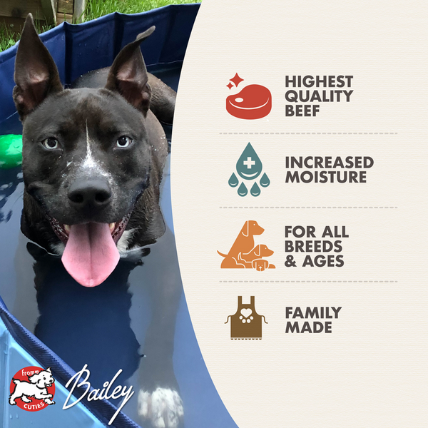 Fromm Four Star Shredded Beef in Gravy Entree Canned Dog Food