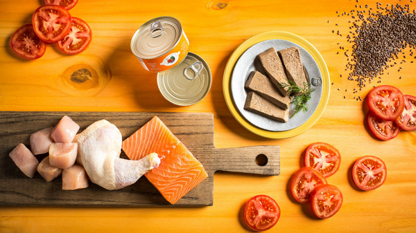 Fromm Four Star Chicken & Salmon Pate Cat Food
