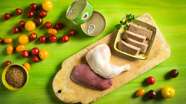 Fromm Four Star Duck & Chicken Pate Cat Food